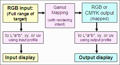 Gamutvision block diagram