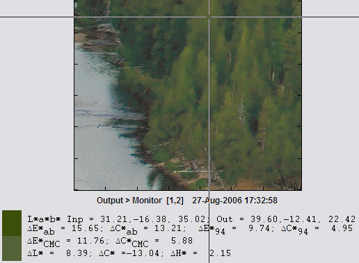 Pines image, showing Probe